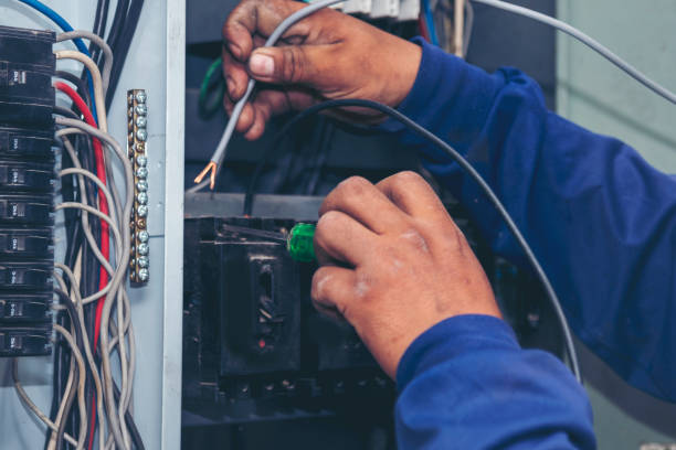 Best Electrical Troubleshooting Services  in St Petersburg, FL